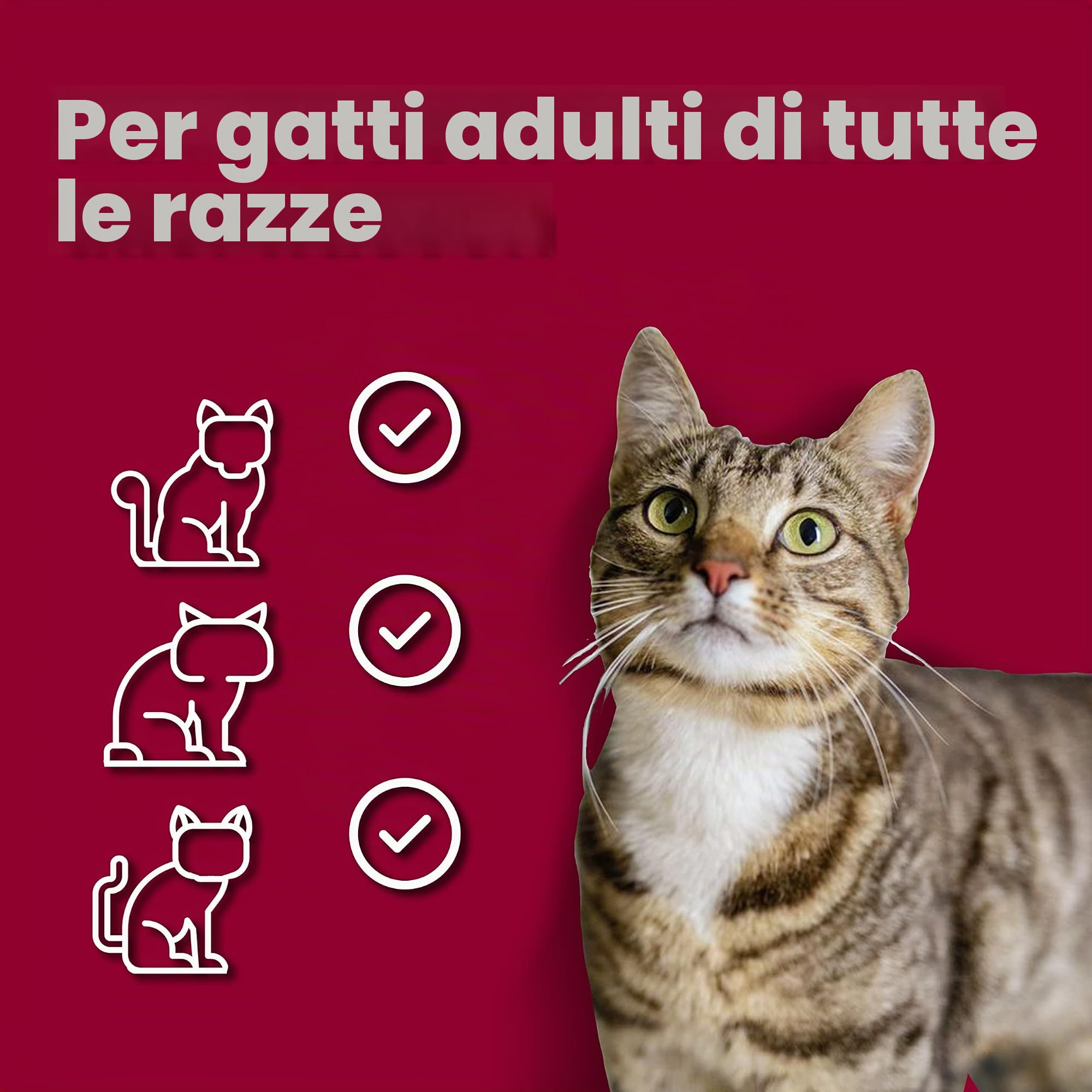 animonda Vom Feinsten Senior, alimento umido per gatti più anziani a partire da 7 anni, con manzo, 32 x 100 g