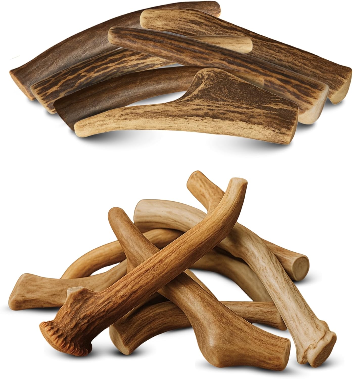 WhiteTail Naturals Whole Deer Antlers for Dogs Naturally Shed | Bundle Includes 6-Pack Small (4–6”) & 1 Pound Pack.