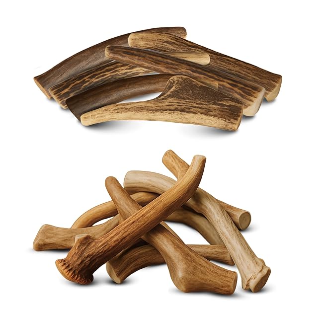 WhiteTail Naturals Whole Deer Antlers for Dogs Naturally Shed Bundle Includes 6-Pack Small 4 6 1 Pound Pack