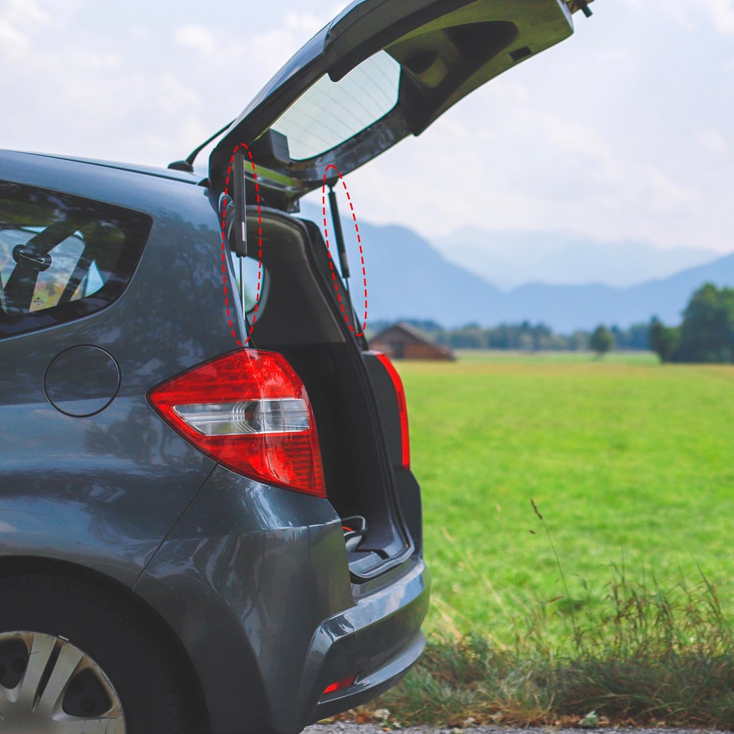 X AUTOHAUX 2pcs Tailgate Liftgate Rear Hatch Lift Supports Gas Struts Springs Shocks Replace 904504BA0B/904514BA0B for Nissan Rogue 2014-2020