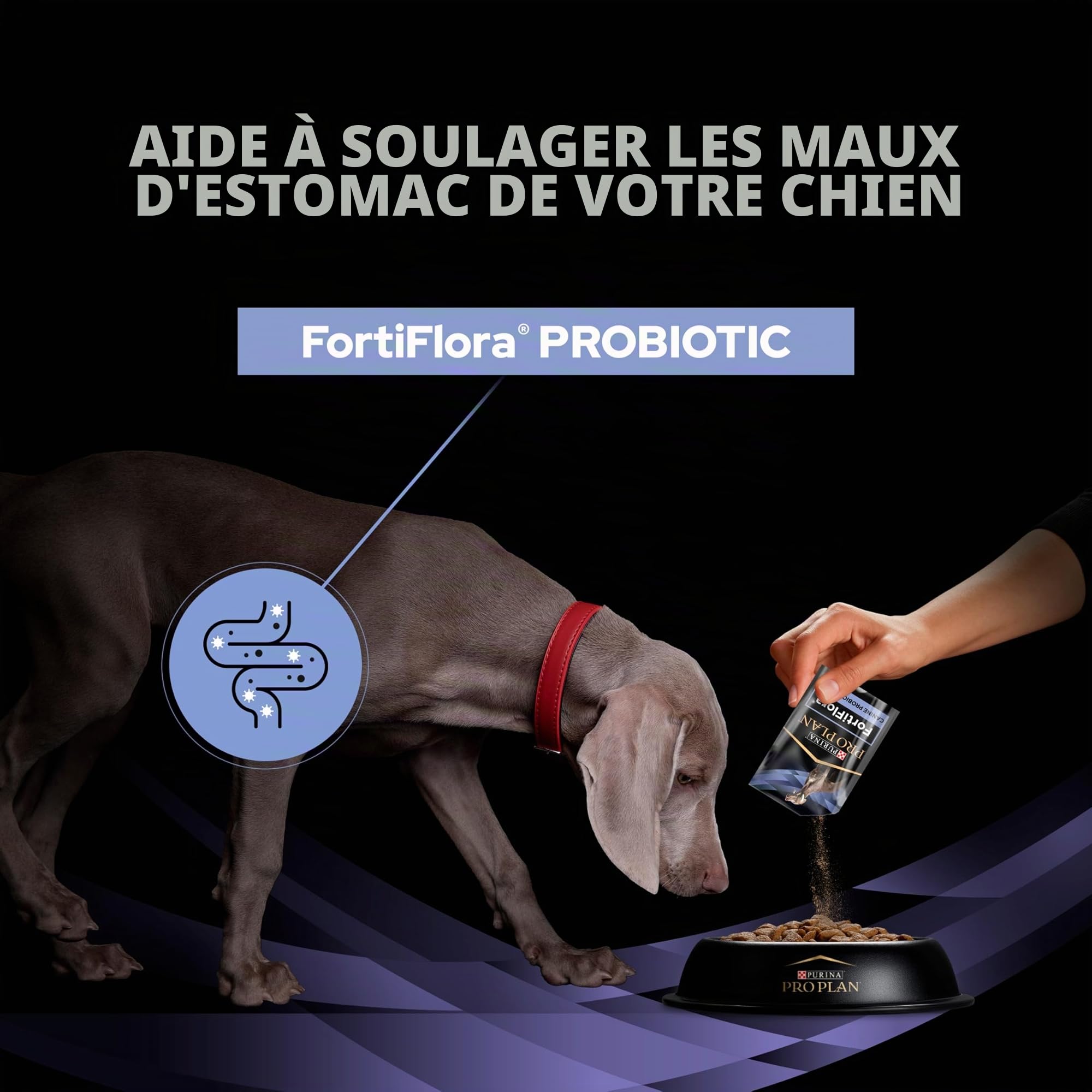Pro Plan Vet Canine Fortiflora Probiotic Lacets 30 x 1 g