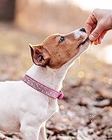 Vista 5 de Collar de perro para perros pequeños, collares ajustables de cuero de gamuza para perro, collar de perro rojo rosa, collar de gato con diamantes
