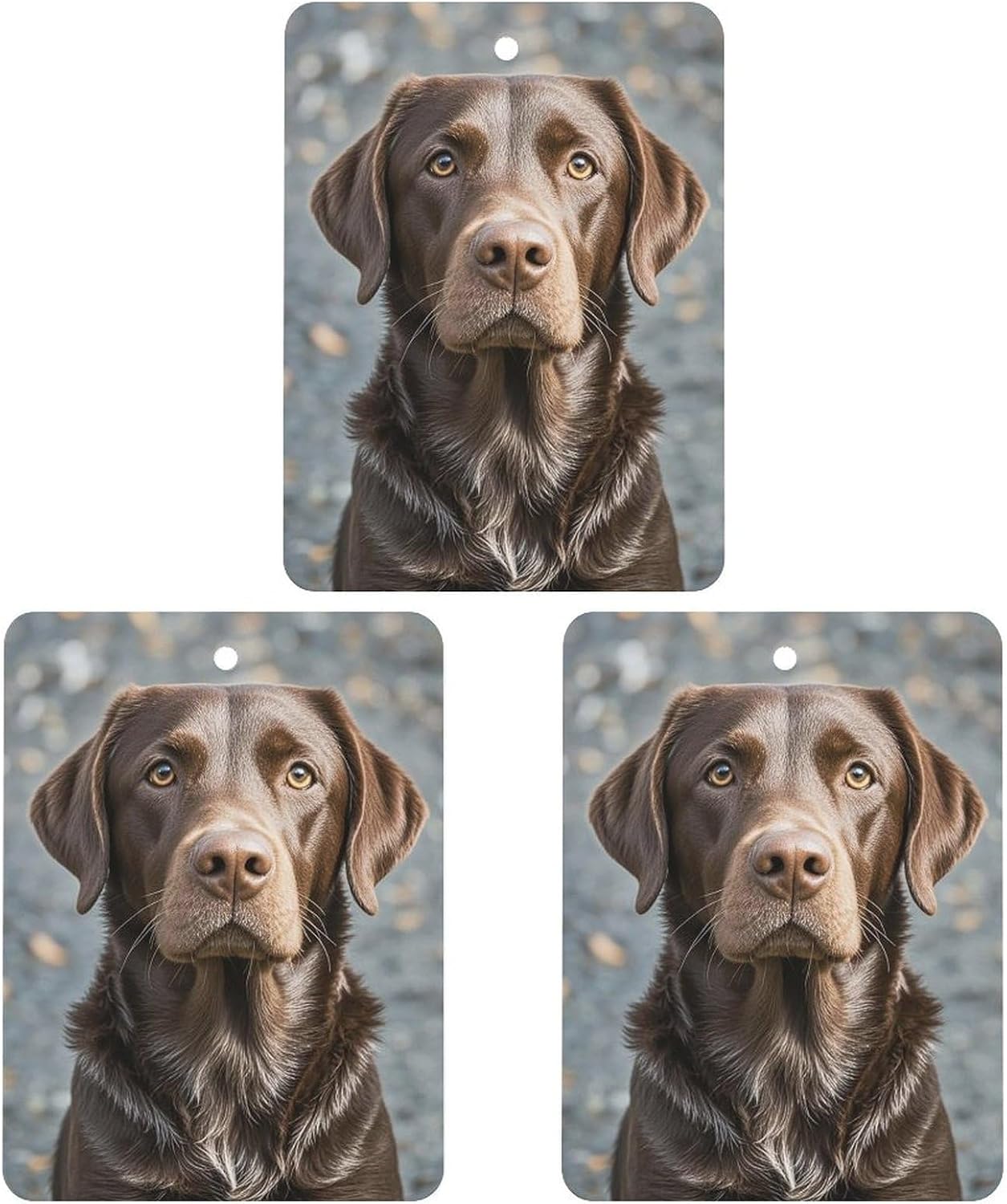 Car Air Fresheners 3 Pcs Hanging Air Freshener Brown Labrador Retriever Car Aromatherapy Tablets Wardrobe Pendant Fragrance Scented Cards for Rearview Mirror Bedroom Car Interior Decor