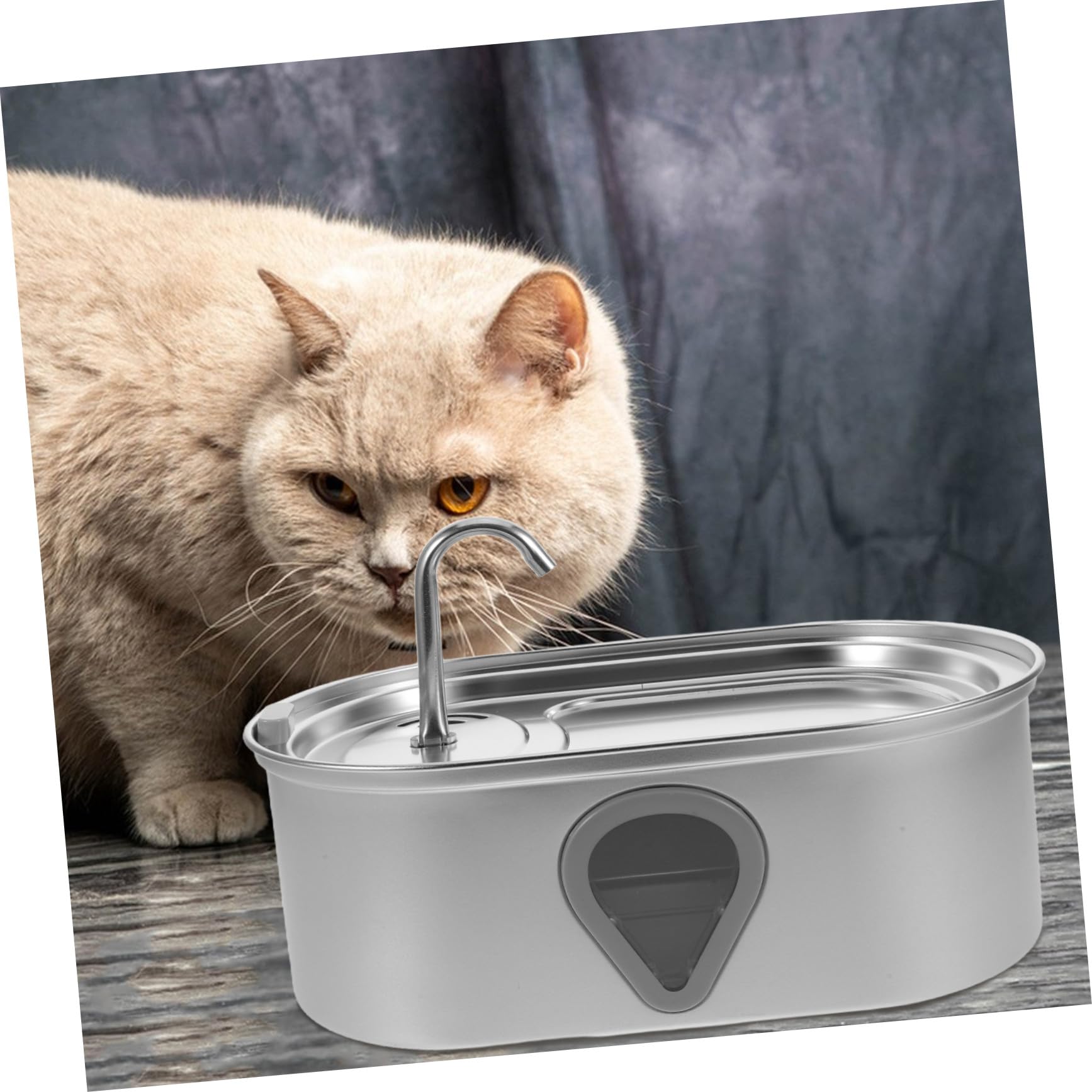 Dispensador De Agua para Gatos Pequeños Bebedero Automático para Perros Y Gatos Color Plateado