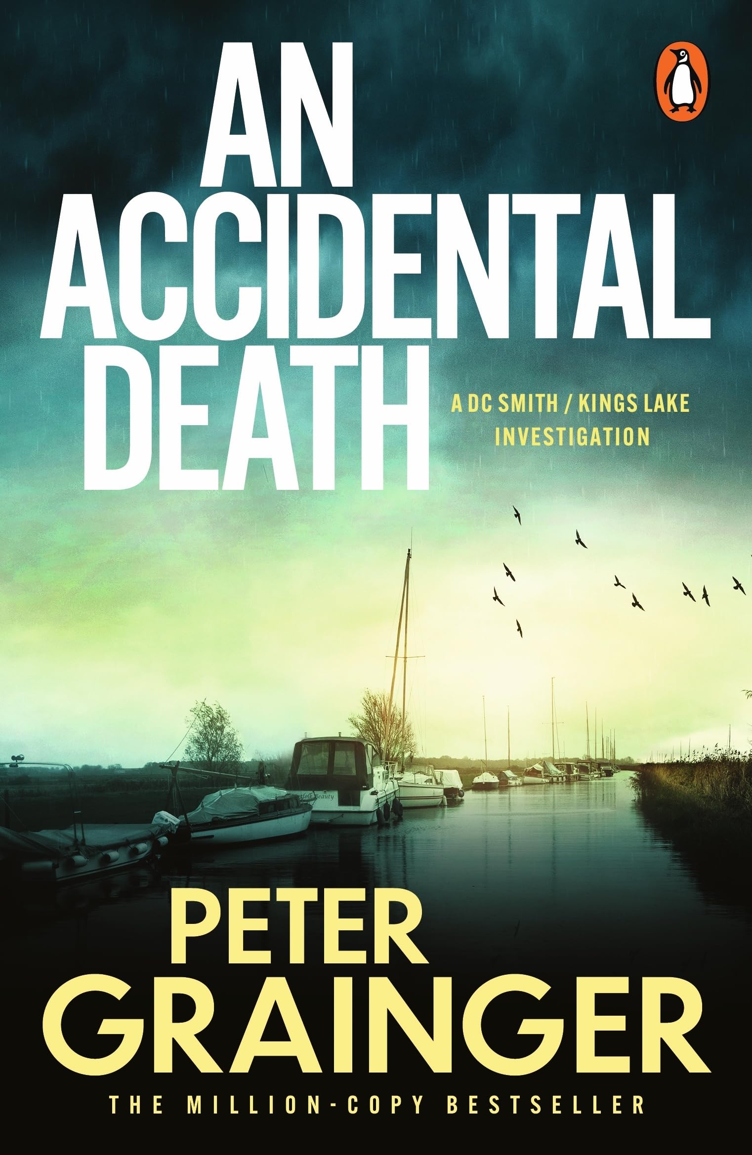 An Accidental Death: The gripping detective mystery from the million-copy-selling crime author (A DC Smith / Kings Lake Investigation Series, 1)