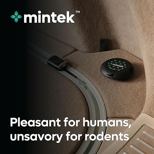 Miniatura 4 de Mintek™ Disco EZ (2 unidades)