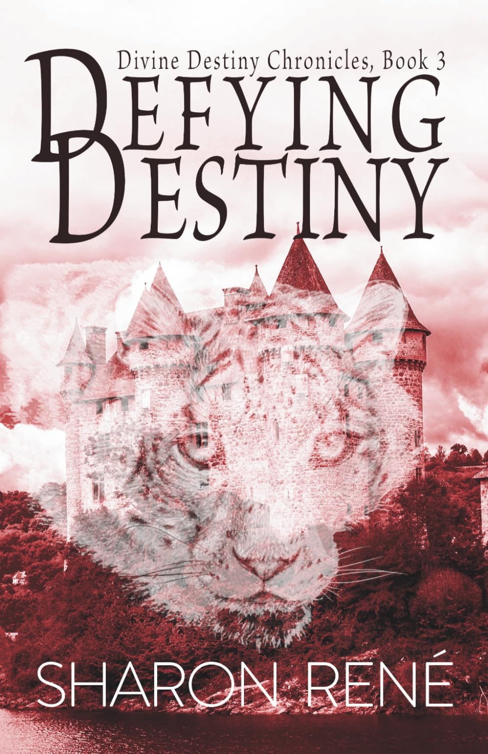Defying Destiny (Divine Destiny Chronicles)
