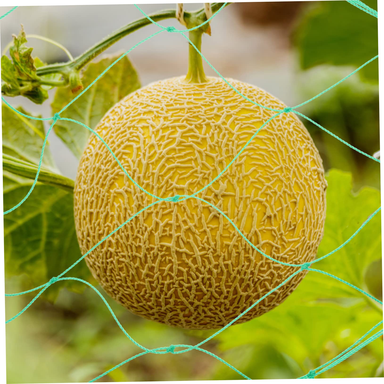 3 Stück Gartennetz aus Nylon für Obstpflanzen und Kletterpflanzen