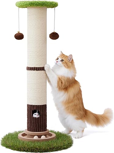 Woochpet 34inches Tall Cat Scratching Post with Cat Ball Track Toy Heavy Duty and Thicker Large Diameter Natural Sisal Cat Scratcher Post for Indoor Cats Protect Your Furniture