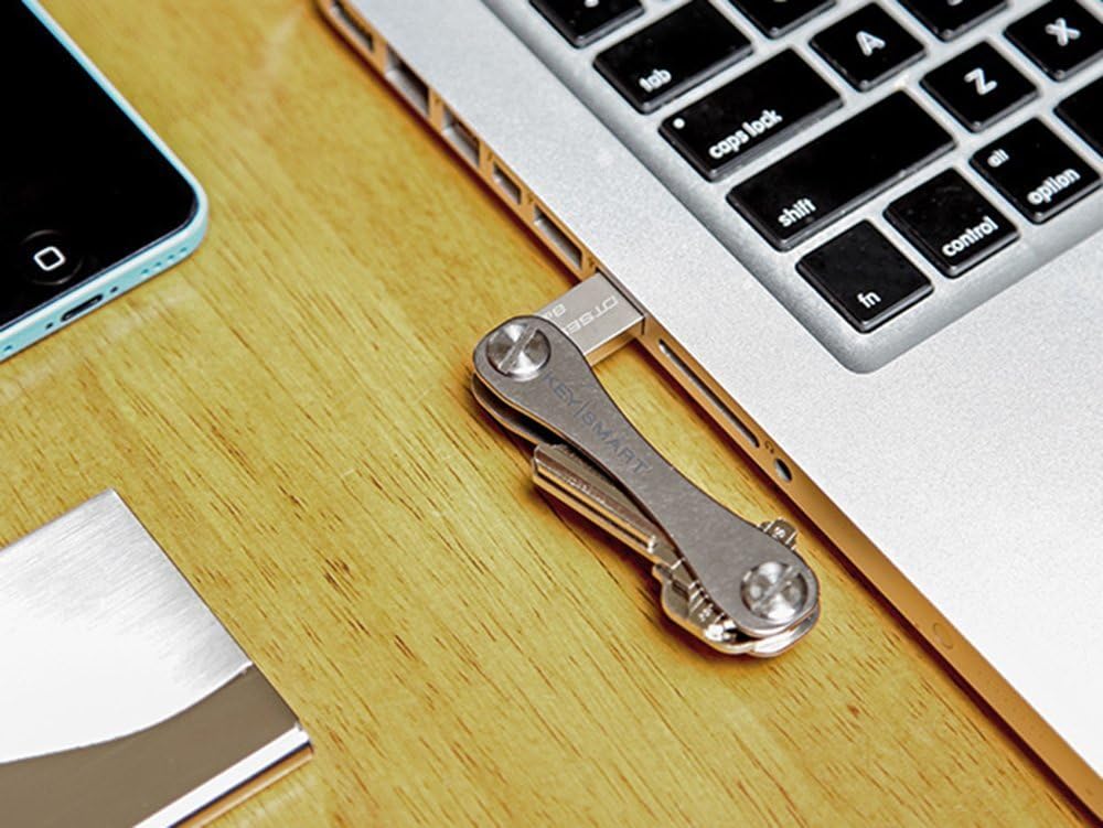 KeySmart Classic - Compact Key Holder and Keychain Organizer (up to 14 Keys, Titanium)