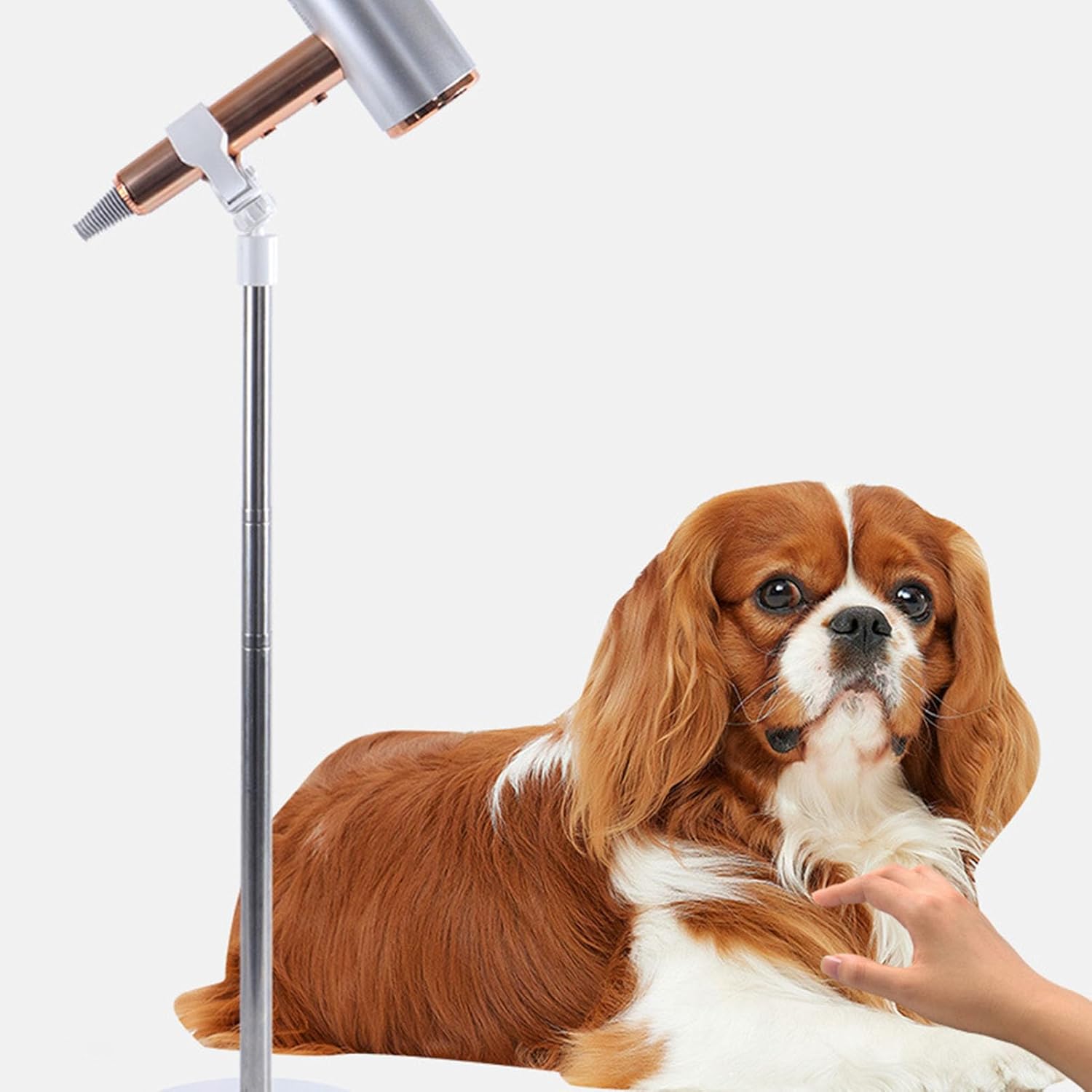 Dioche Dog Hair Dryer Stand Adjustable Pet Grooming Table Hair Dryer Holder Professional Hair Dryer Holder with Stable Base