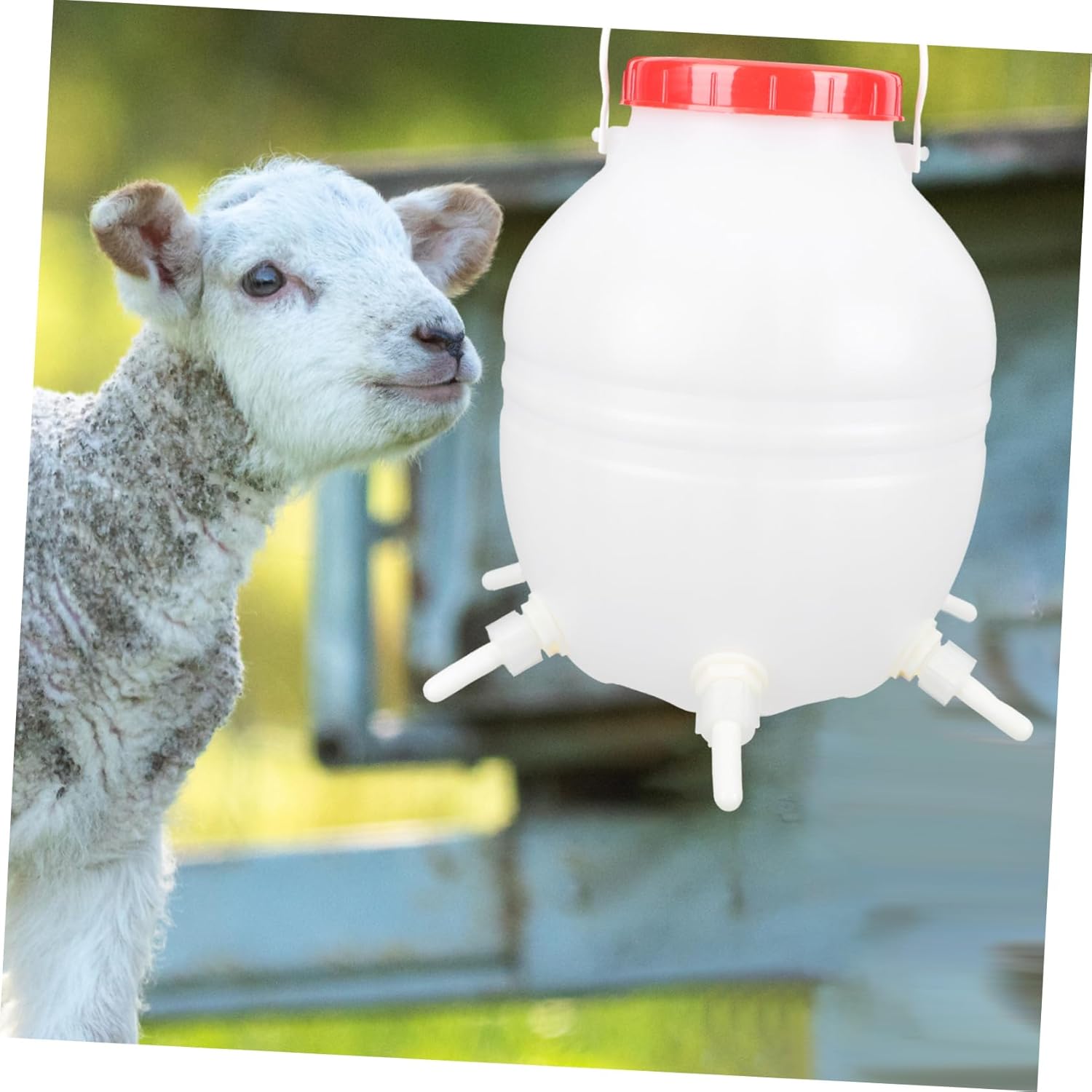 1set Lamb Milk Feeder Bottle Silicone Nipples Automatic Nursing Bucket for Livestock Feeding for Piglets and Lambs Easy to Use and Clean
