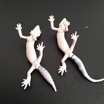 「チョコQ 日本の動物 第8弾」 フィギュア 21種セット カプセルQミュージアム 日本の動物コレクション8 日本アルプス