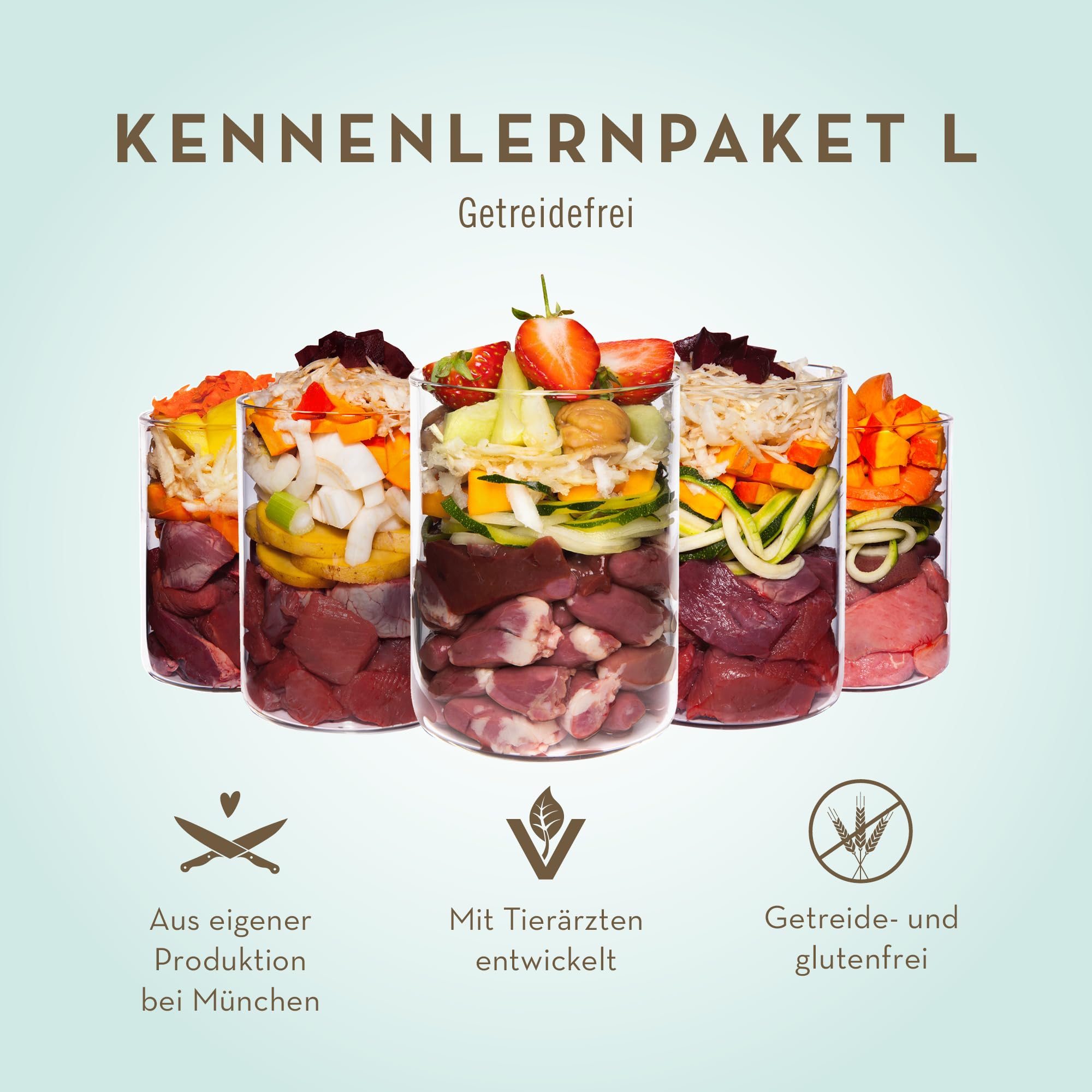 Terra Canis Kennenlernpaket L, Getreidefrei Hundefutter nass 9 x 400 g – Premium-Nassfutter für ausgewachsene Hunde Aller Rassen, mit Rohstoffen 100% Lebensmittelqualität
