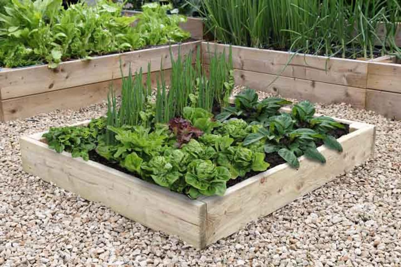 Quickcrop Premier Raised Garden Bed - 17.5cm High (120cm x 120cm)