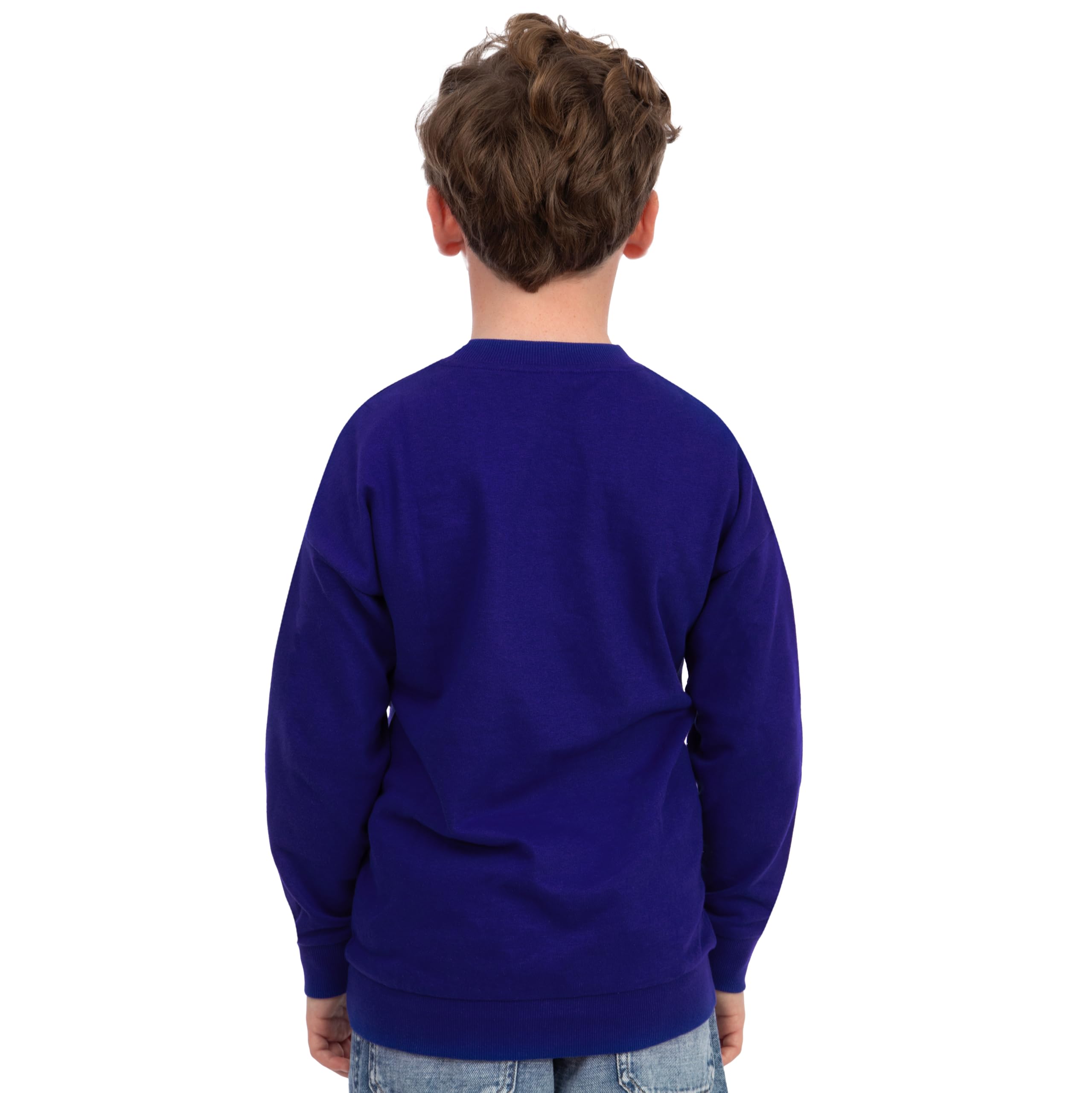 Disney Felpe Bambini, Felpe Zootropolis per Ragazzi, Pullover Nick Wilde per Bambini, Abbigliamento in Cotone per Ragazzi