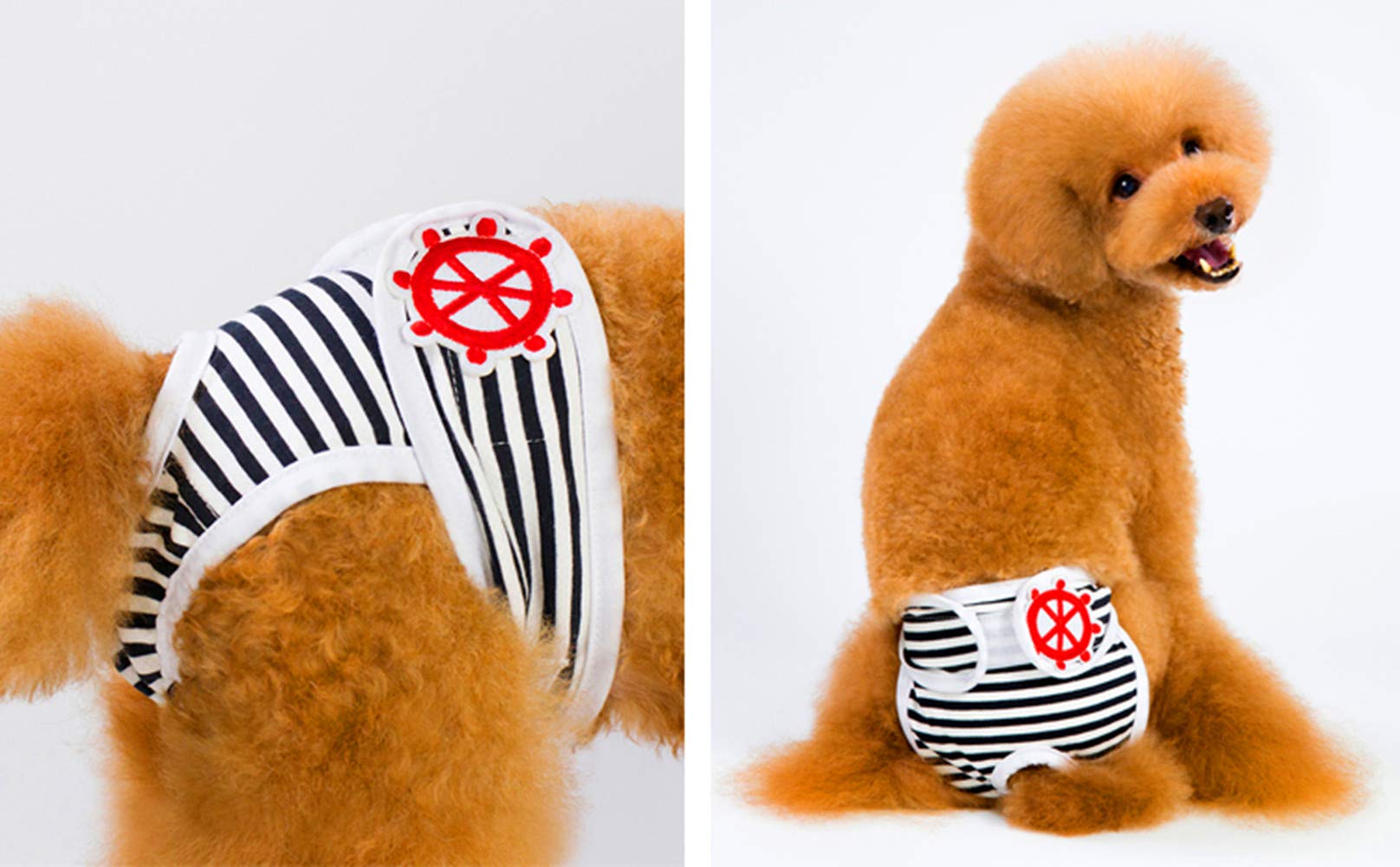 Hunde Inkontinenzhose Waschbar - Atmungsaktiv Für Weibliche Hunde