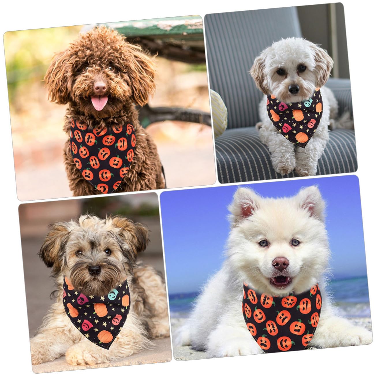 Kisangel 10 Piezas Bufanda Triangular De Halloween Pañuelo De Gato Doméstico Disfraz De Perro Pequeño Accesorio para Perros Cómoda Bandana para Mascotas Accesorios para Gatitos Poliéster