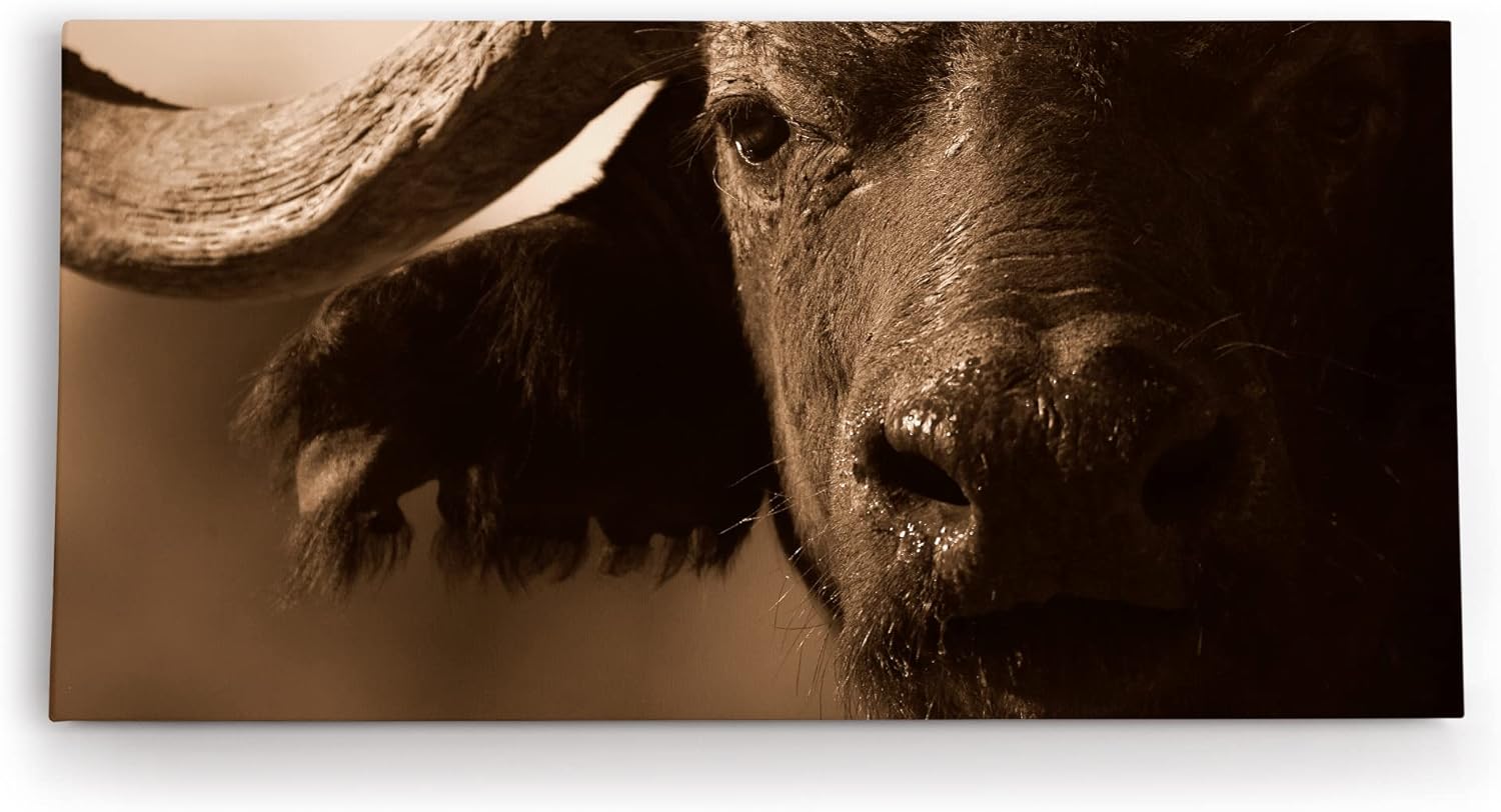 Paul Sinus Leinwandbild 60x40cm - Natur See Wasserfall Wald Landschaft