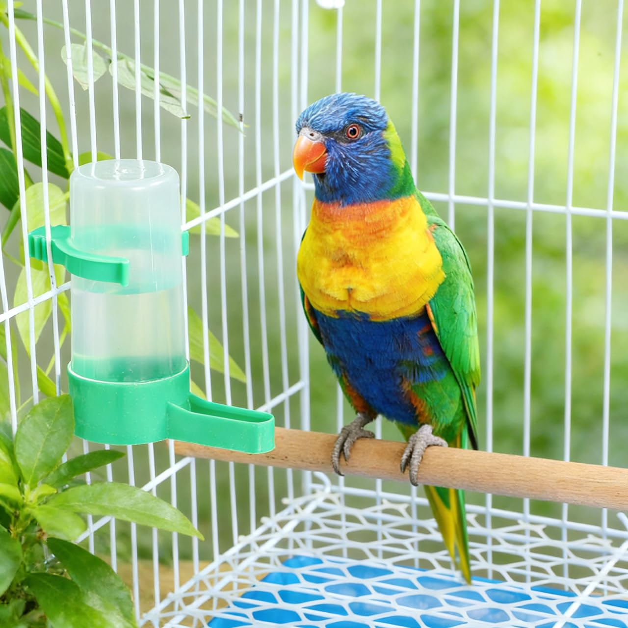 Hohopeti Distributeur d'eau Automatique pour Oiseaux en Cage 10 Pièces Abreuvoir pour Perroquets Et Pigeons Anti-Gaspillage 60Ml Bec Incliné Fixation Universelle en Plastique Abs Robuste