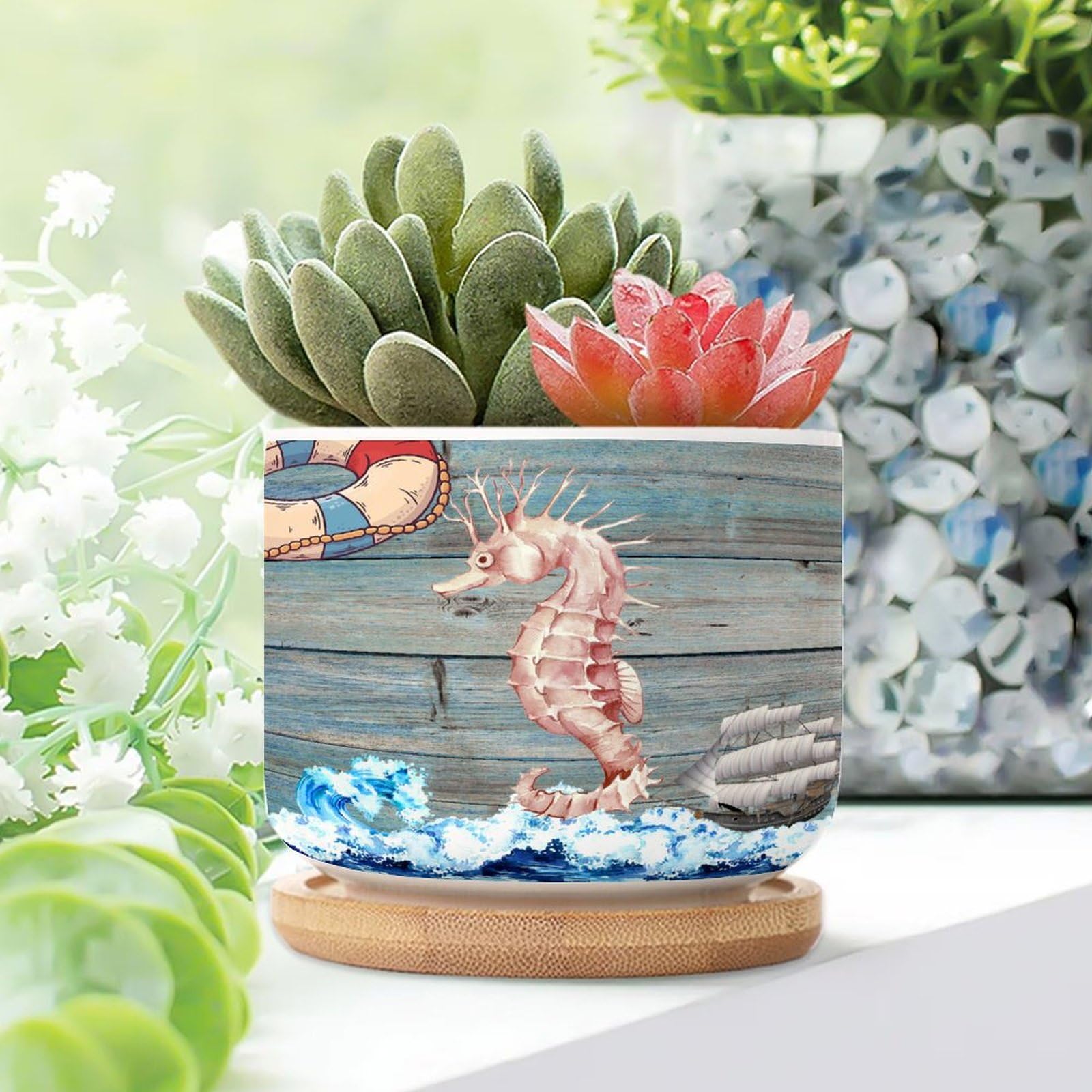 Amazon.com: WoGuangis Set of 3 Seaside Beach Decor Succulent Planter  Antique Nautical Coastal Seahorse Life Buoy Ceramic Plant Pot with Drainage  Watercolor Sea Waves Sailing Ship Small Pots for Succulents : Patio,