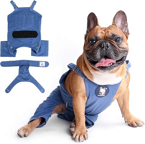 Miniatura 6 de iChoue Lindos pañales para perro con tirantes para bulldog francés, pug francés, bulldog inglés, hembra, en ciclo de calor, azul, talla M, con 2