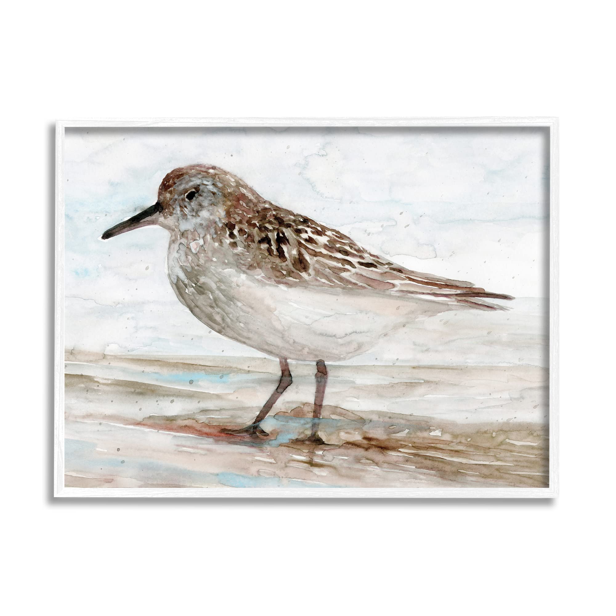 Amazon.co.jp: Stupell Industries サンドパイパー ペイント