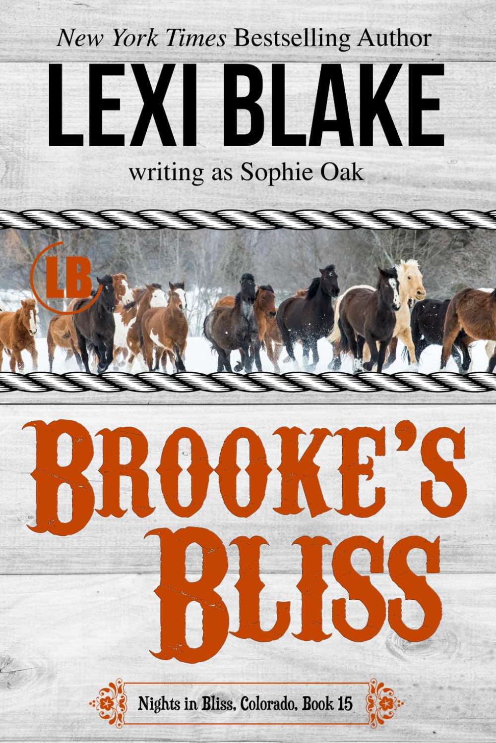 Brooke's Bliss (Nights in Bliss, Colorado)