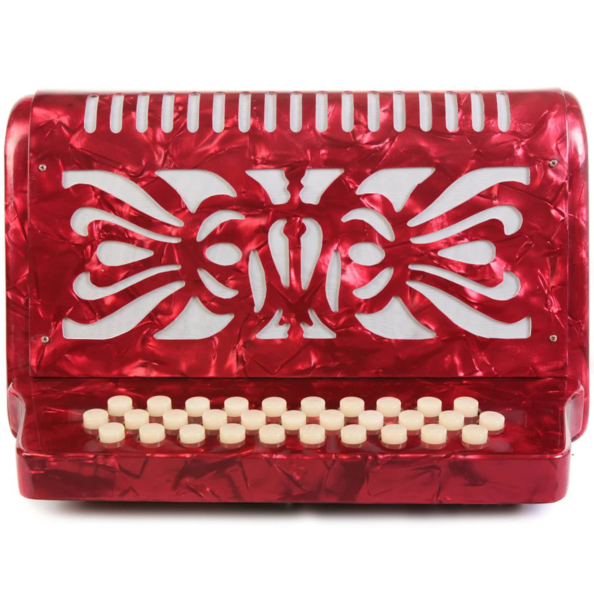 Amazon.com: Rossetti, 31-Key Accordion (ROS3112-FBE-RD) : Musical