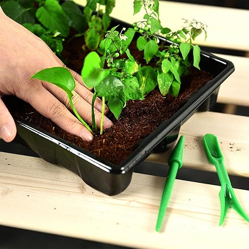 Miniatura 5 de Paquete de 10 bandejas fuertes para cultivo de plantas, plástico negro duradero extra fuerte (sin agujeros de drenaje) para invernadero y flores,