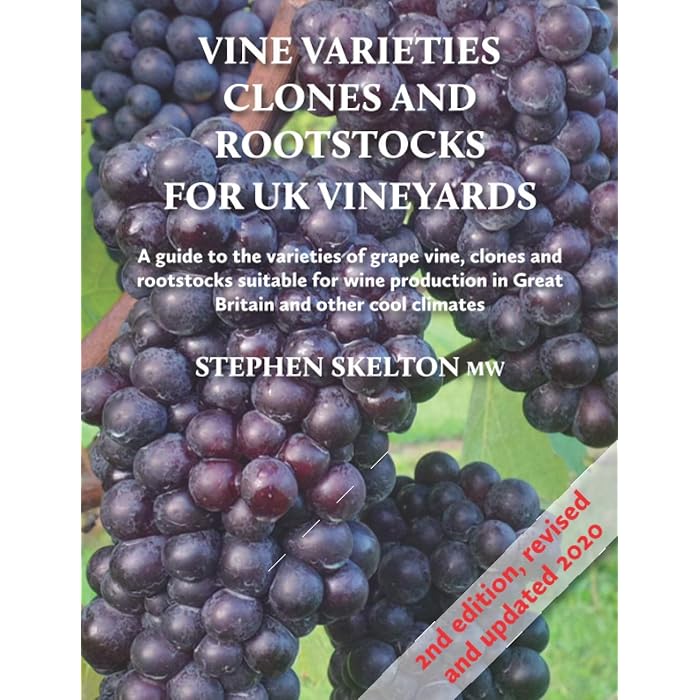 Wine Grape Rootstock For Sale at Stephen Hansen blog