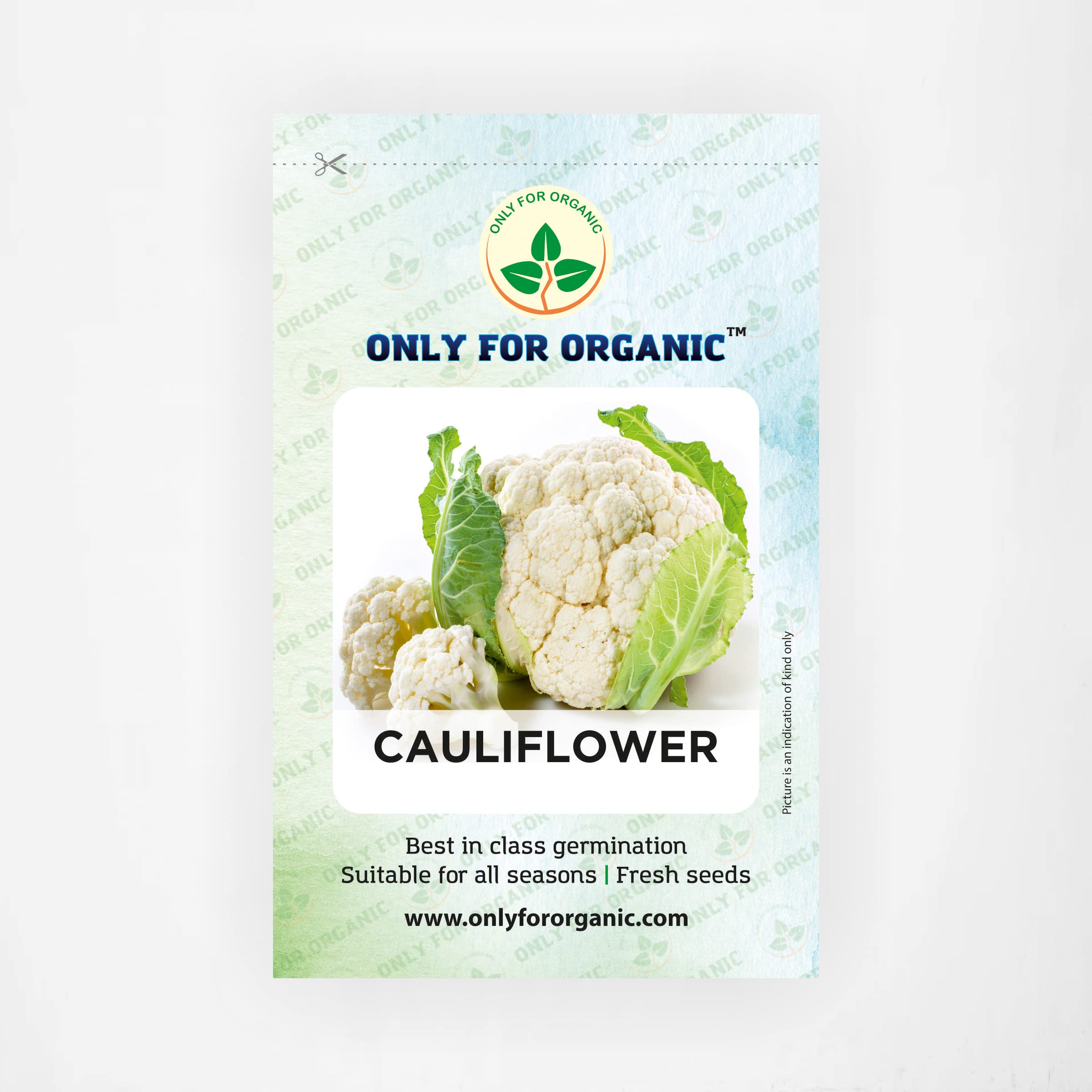 Only For Organic Cauliflower Seeds (50 Nos) (B09W9LV8YT) Amazon Price History, Amazon Price Tracker