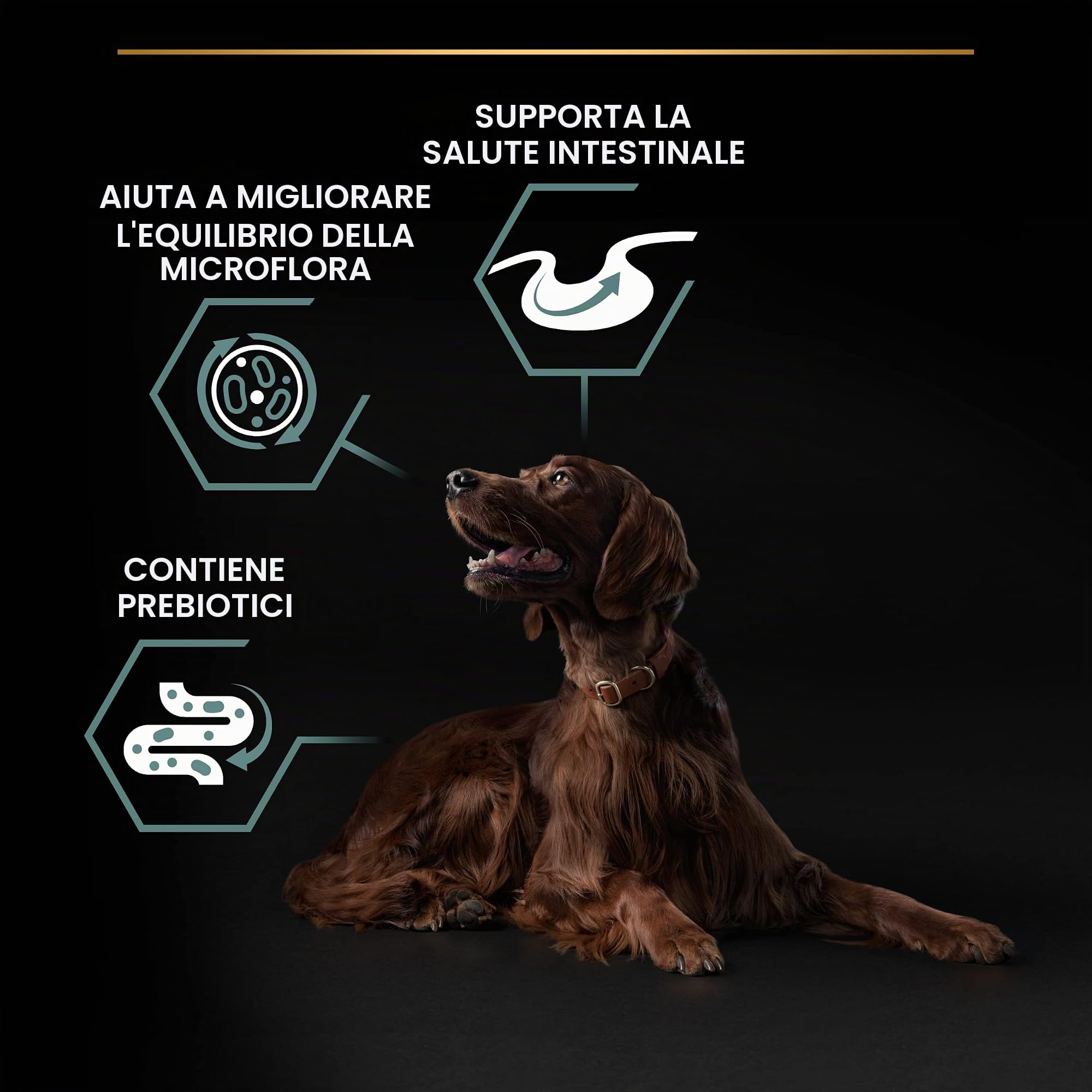 Purina Pro Plan Optidigest Large Athletic Adult Crocchette Cane 14 kg