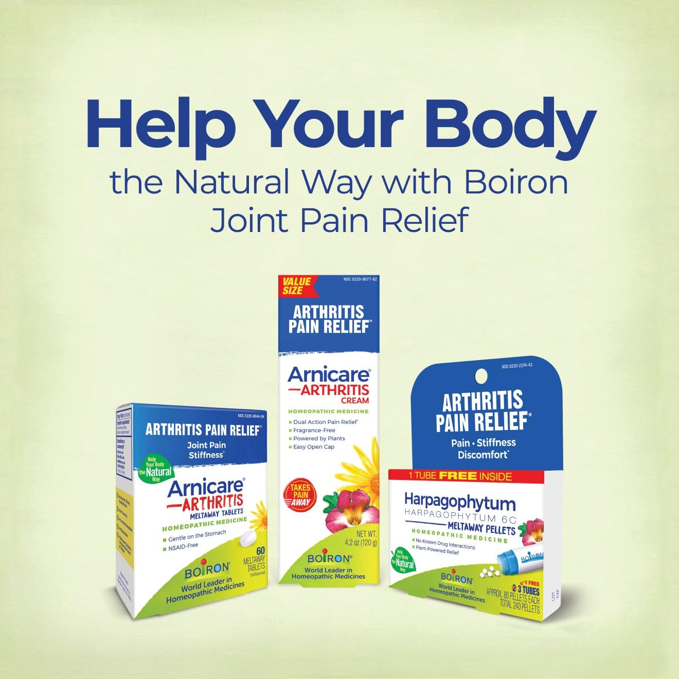 Boiron Arnicare Arthritis Cream Pump for Pain Relief of Knees, Hands, Wrists, Elbows, Joints & Muscles – Quickly Absorbed & Fragrance-Free – 4.2 oz — Amazon image 7