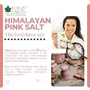 Bliss of Earth 1KG Pure Reguler Pakistani Himalayan Pink Salt Refill Pack Non Iodised for weight loss & Healthy Cooking, Natural Substitute of White Salt gallery image