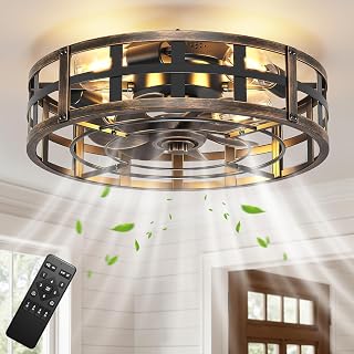 BLNAN 20Inch Farmhouse Ceiling Fan with Lights and Remote, Industrial Caged Low Profile Flush Mount Industrial Fandelier, 6 Speeds Bladeless Fan Lights for Bedroom, Kitchen, Living Room, Black Gold