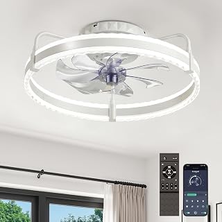 Ceiling Fan with Lights, 20'' Low Profile Ceiling Fans, 3000-6500K Dimmable