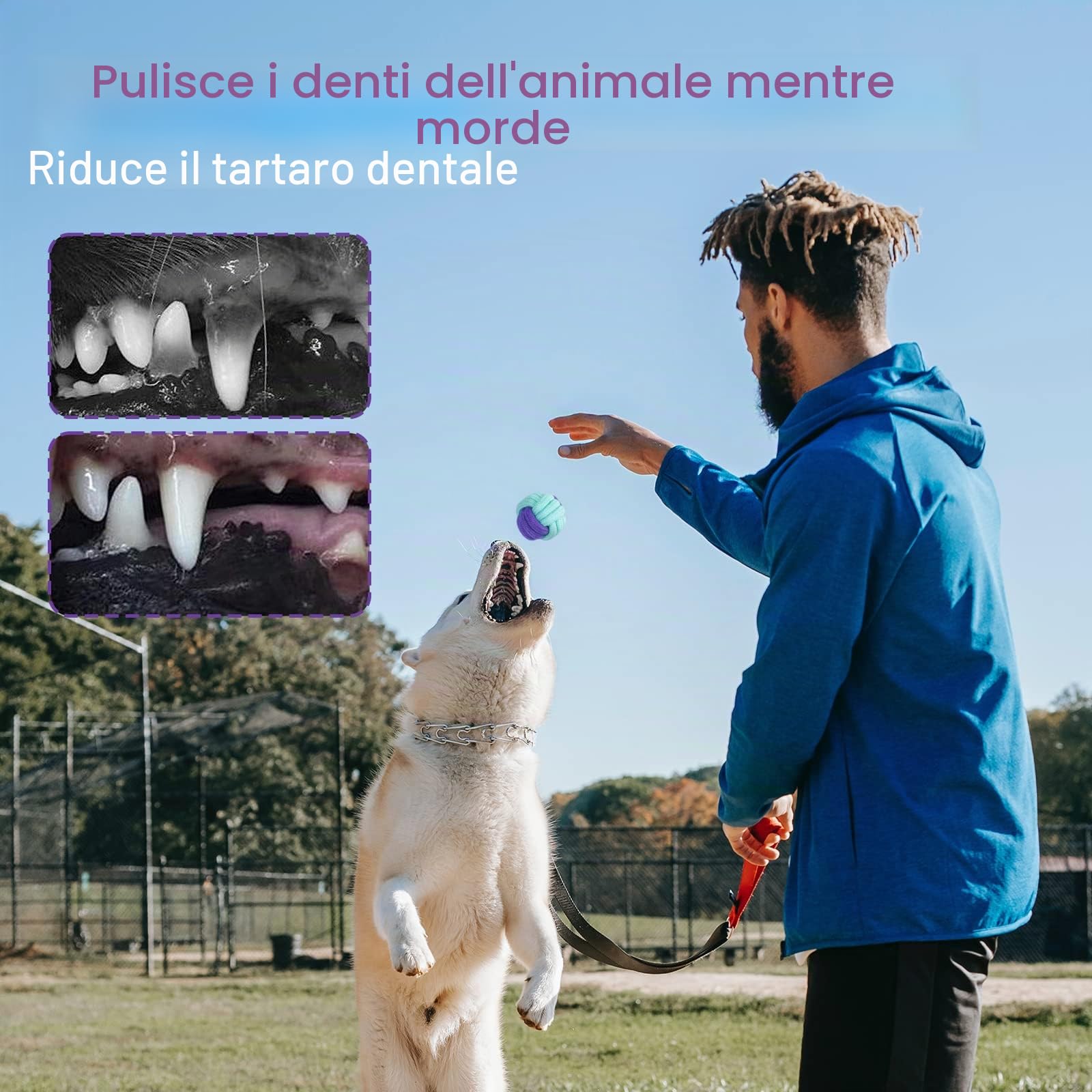 Set di Giochi per Cani - 20 Pezzi Resistenti in Corda per Cuccioli e Cani Grandi