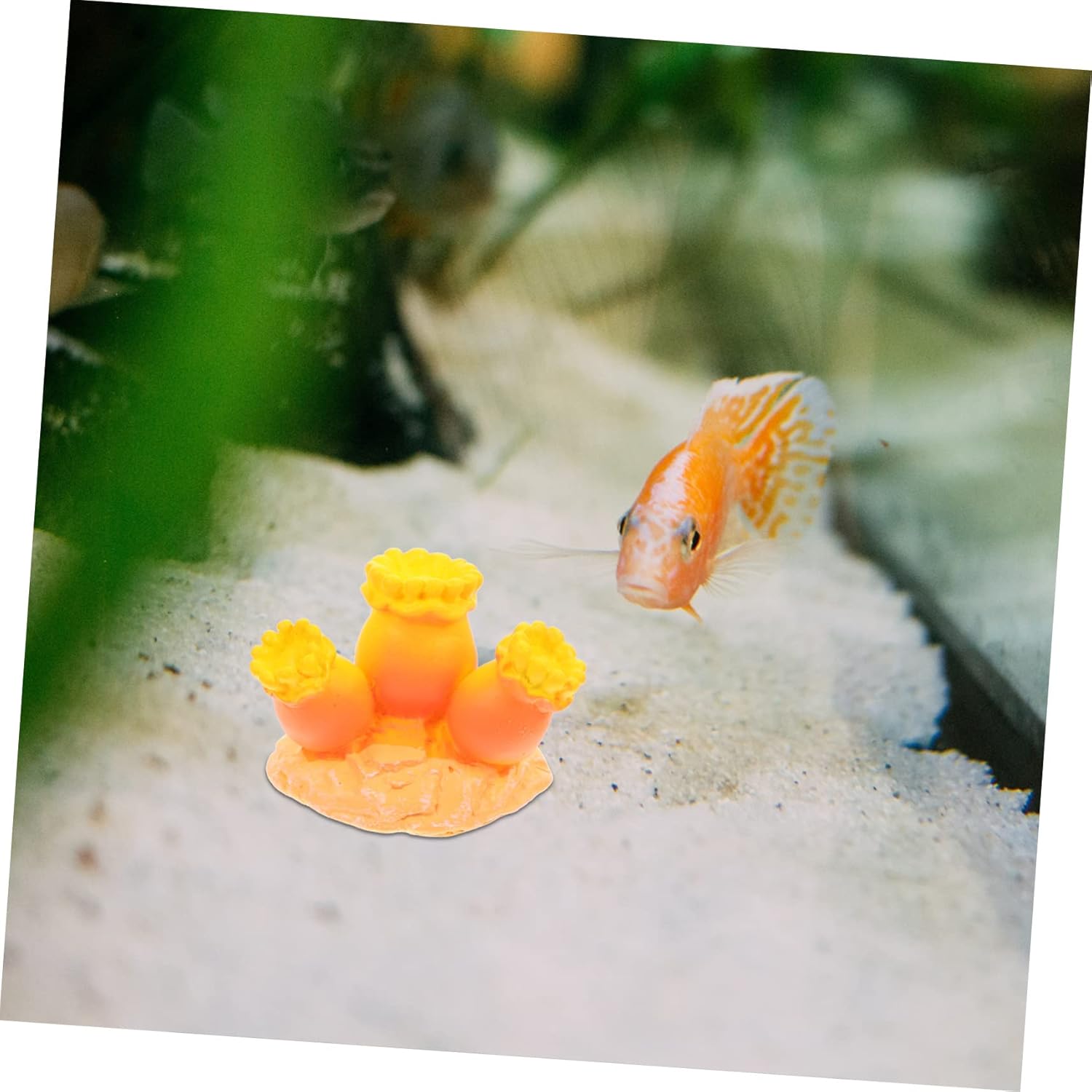 4sets Artificial Coral Fish Tank Coral for Fish Tank Aquatic Plants for Aquarium Aquariums Aquarium Plant Holder Aquarium Light Fish Tank Coral Decorations Rim