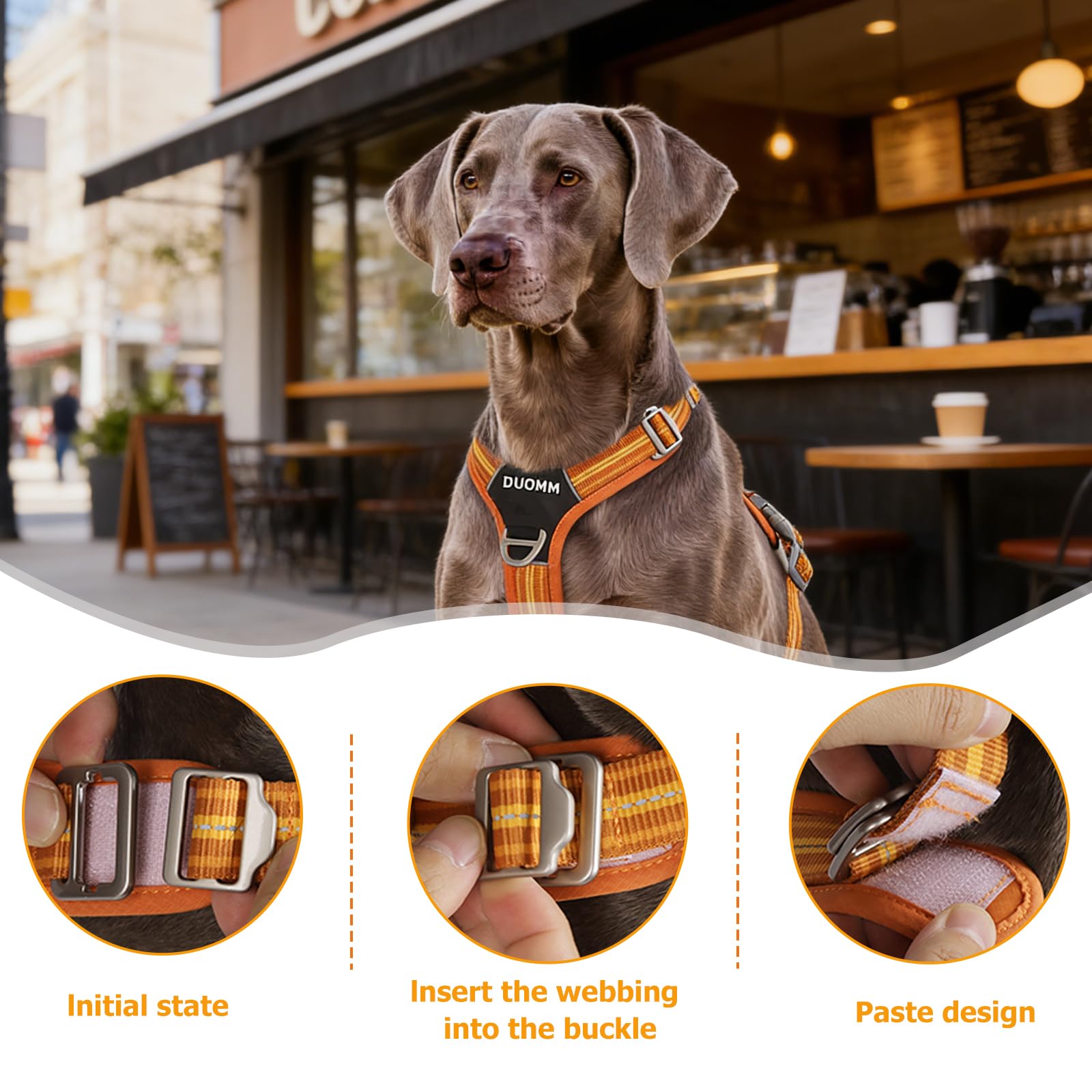 Juego de arnés y correa reflectante para perro, sin tirones, arnés de chaleco impermeable para mascotas con correa de 8.2ft / 2,5 m, gancho frontal y trasero de doble clip resistente, asa de