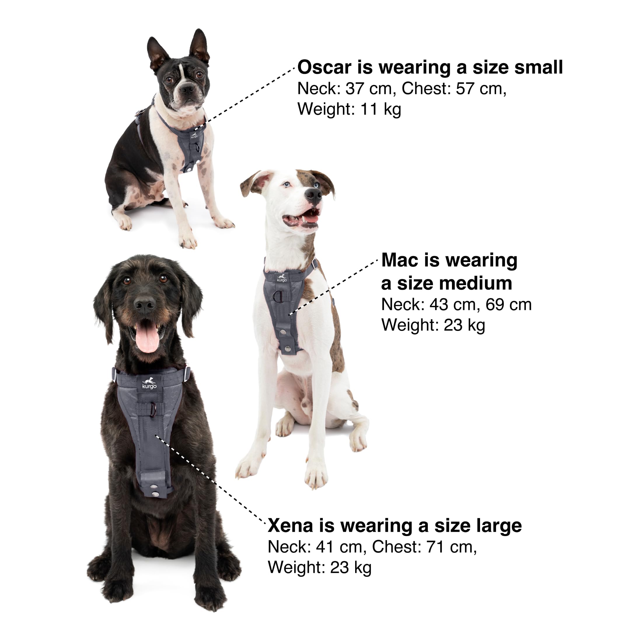 Kurgo Enhanced Strength Tru-Fit Dog Car Harness - Pet Travel Safety Harness - Crash Test Certified Fit - Five Point Adjustment - Secure Buckle - Padded Chest - Charcoal - Large - image 5