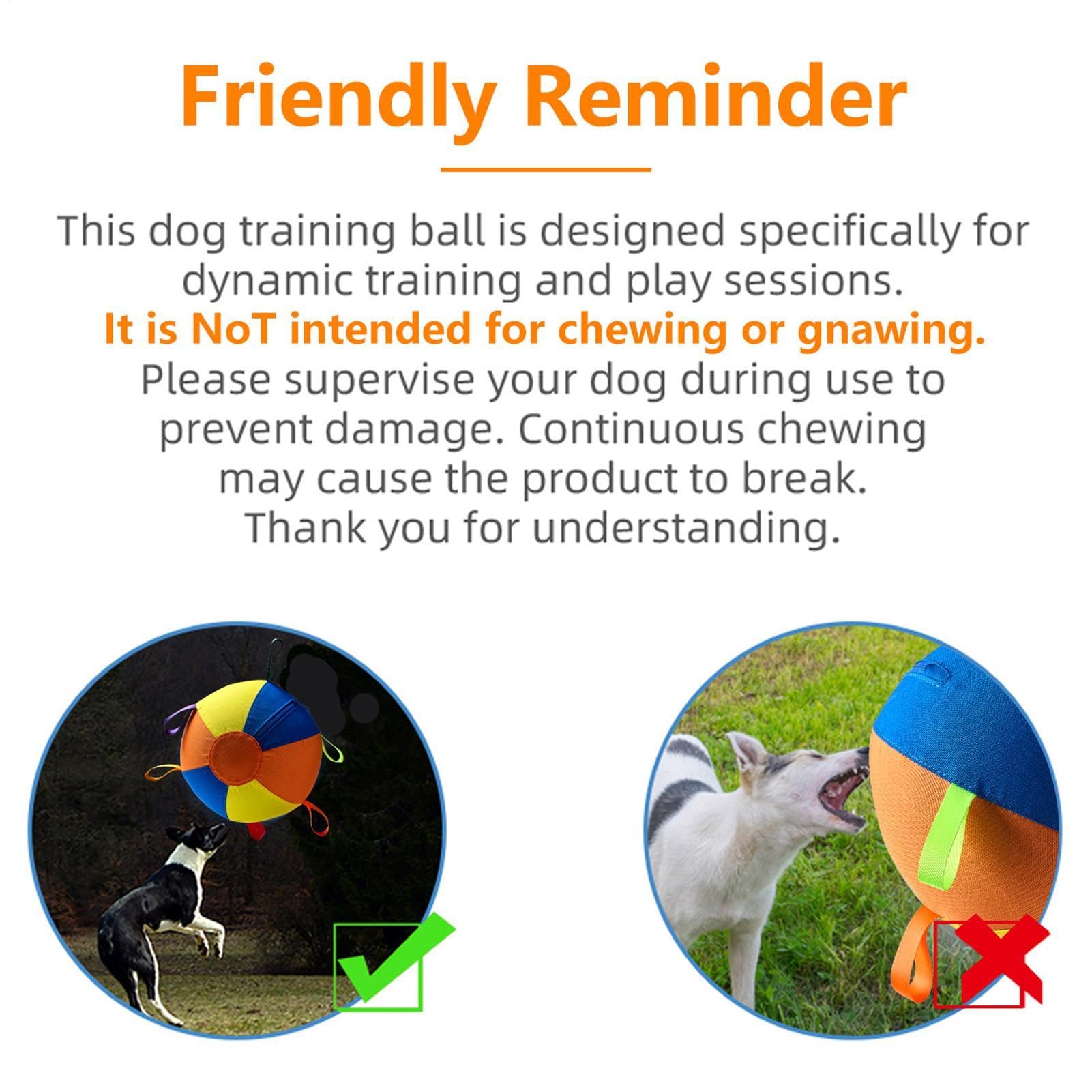 View 6