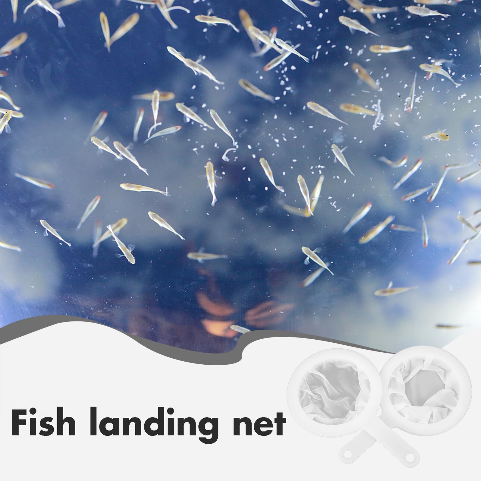 Aquarium Fischernetze Feinmaschig und Pp und Polyester 2 Stück-Pack Hohe Belastbarkeit (100 und 400 Mesh) Weiß Einfach zu Verstauen für Aquarien und Garnelen