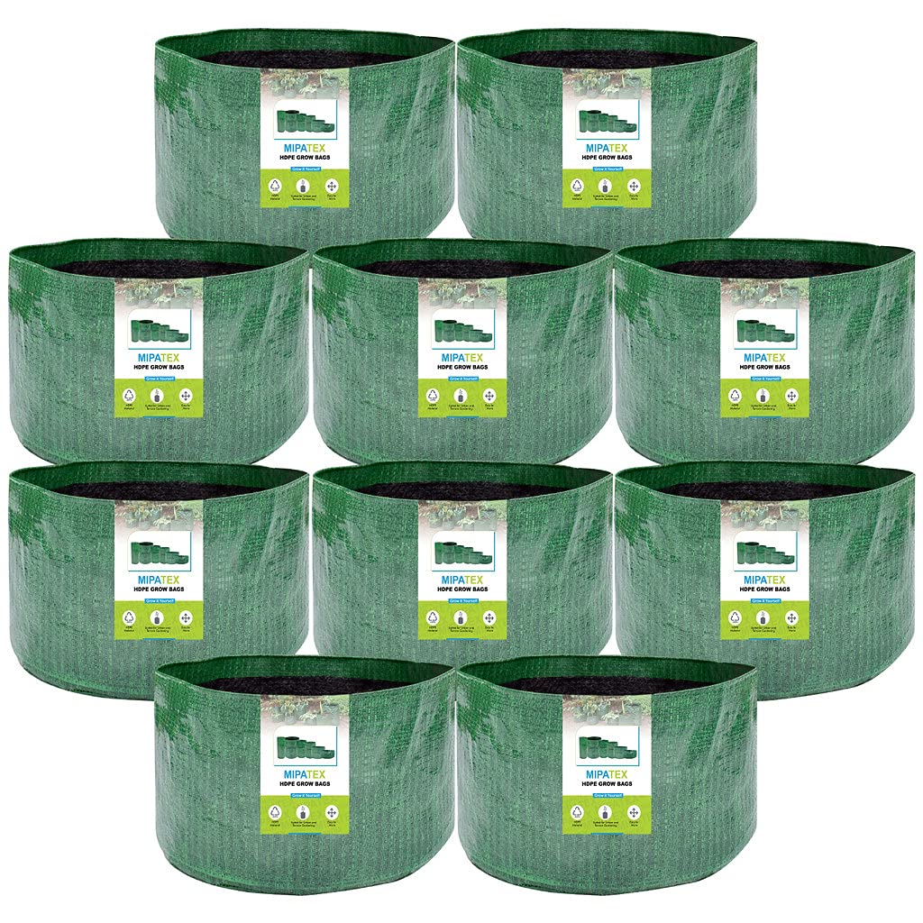 See full amazon price history chart for MIPATEX Terrace Gardening Plant Grow Bags for Leafy Vegetables 9in x 6in, Flower Growing Home Outdoor Planter Container Pots (Olive Green, Pack of 10) MIPATEX Terrace Gardening Plant Grow Bags for Leafy Vegetables 9in x 6in, Flower Growing Home Outdoor Planter Container Pots (Olive Green, Pack of 10) (B09FZ7S136) Amazon Price History, Amazon Price Tracker