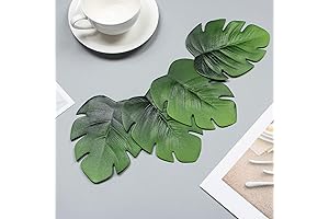 Enhance Your Decor with Monstera Leaf Coasters