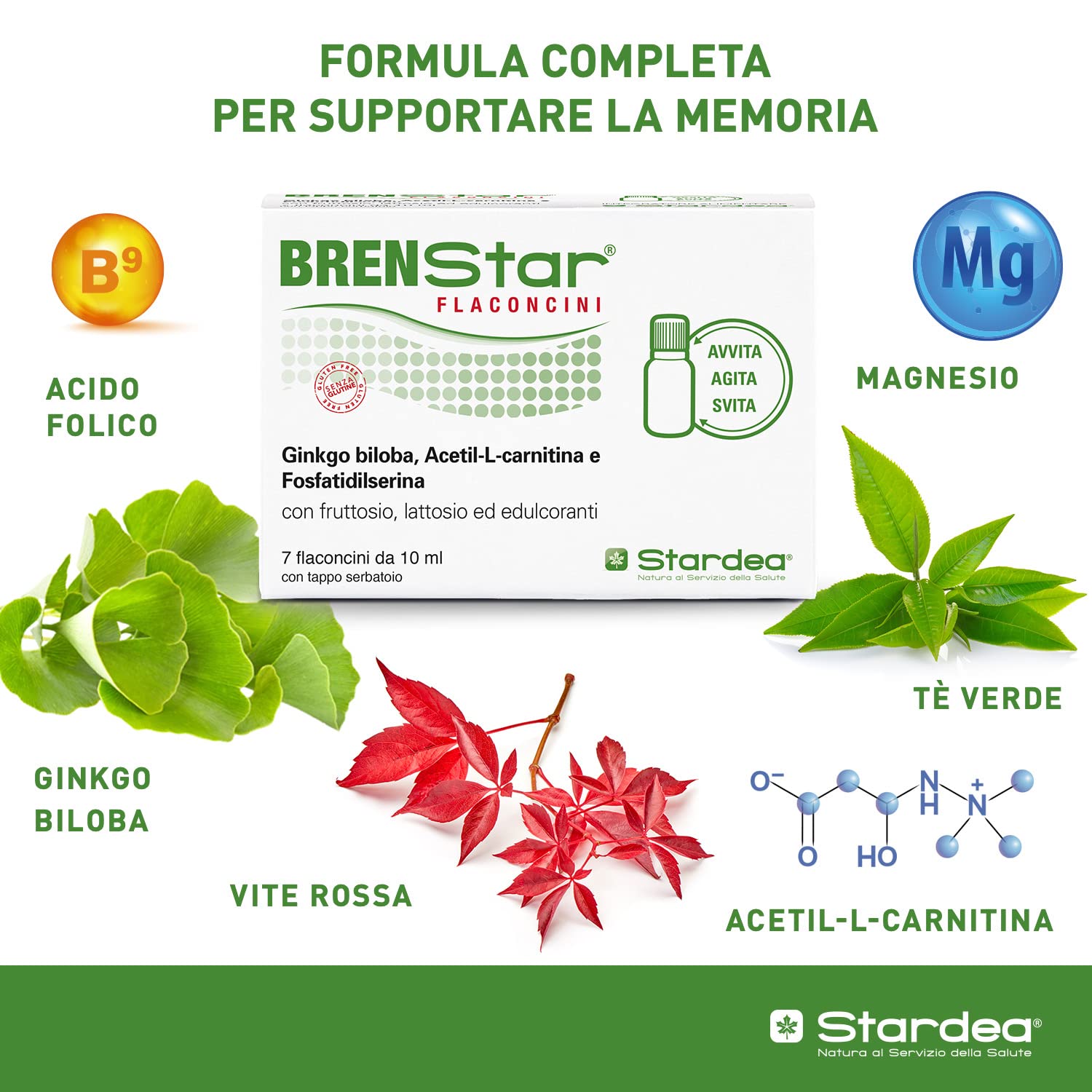 Ginkgo Biloba | Integratore per Memoria e Concentrazione | Integratore naturale stanchezza metale e fisica | Ginkgo Biloba da Bere | 7 flaconcini facile utilizzo | STARDEA Brenstar