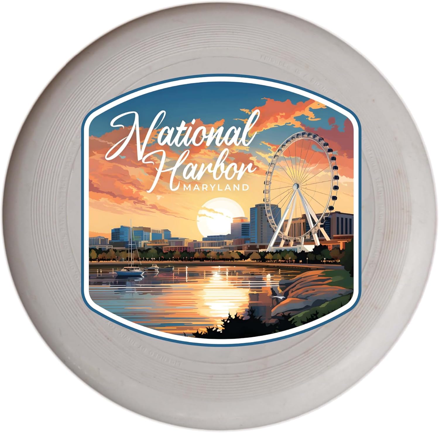 Navarre Beach Florida Underwater Turtle Design Souvenir Flying Disc 4-Pack