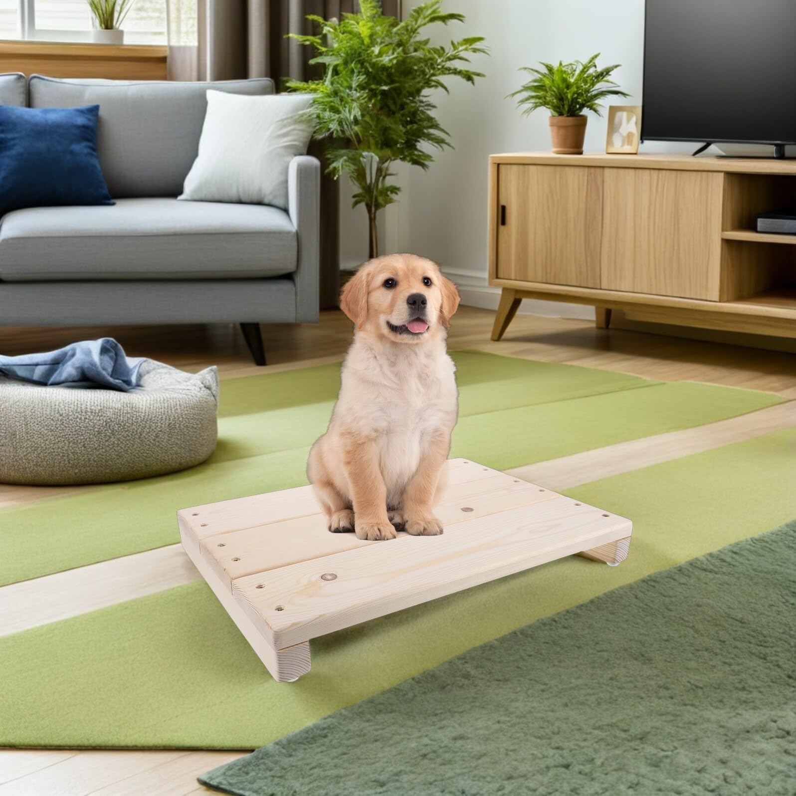 Pedana in Legno per Addestramento Cani con Superficie Antiscivolo, Piattaforma per Agility Cuccioli Piccoli, Sgabello Multifunzione per Uso Interno e Rialzo per Piante