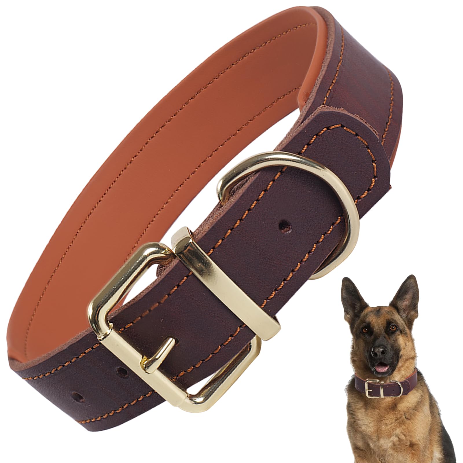 Genuine Padded Leather Dog Collar, Strong Genuine Soft Comfort Fit for Medium Large and Extra Large Breeds–Adjustable and Stylish for Daily Use/Walks（Brown M）