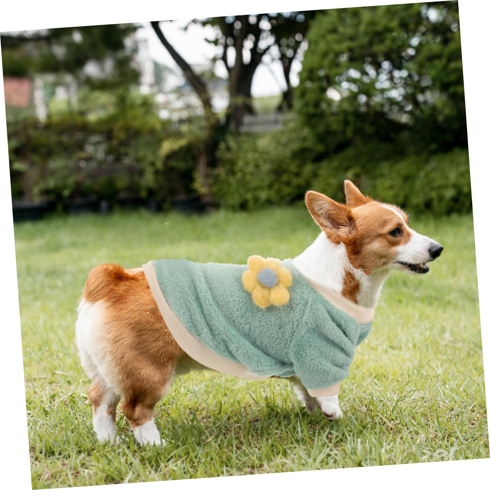 ifundom Manteau pour Chien Pull-Over Chaud Vêtement Amusant pour Animal de Compagnie Costume Facile à Enfiler